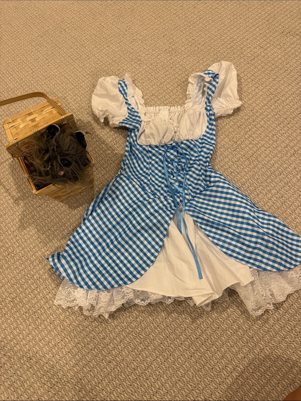 Women’s Dorthy Costume with Toto